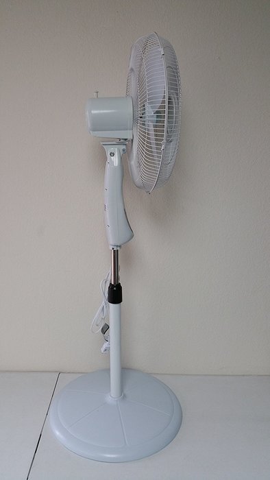 South Eagle Adjustable 16 Inch Remote Control Stand Fan RSF15-40P N2