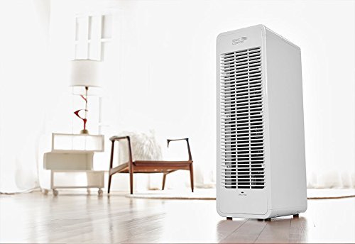 Ionic Comfort Air Purifier - Black N8