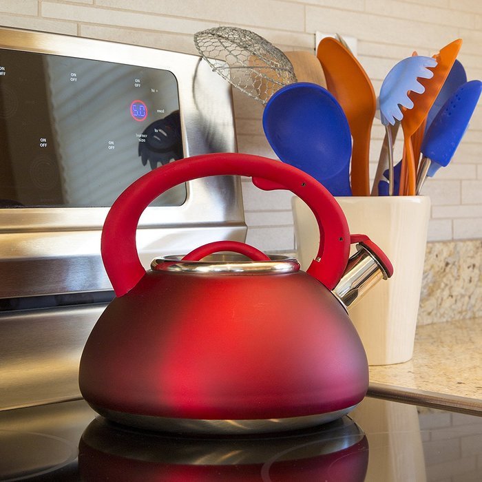 Primula Avalon Whistling Kettle - Whistling Spout, Locking Spout Cover, and Stay-Cool Handle - Stainless Steel... N16