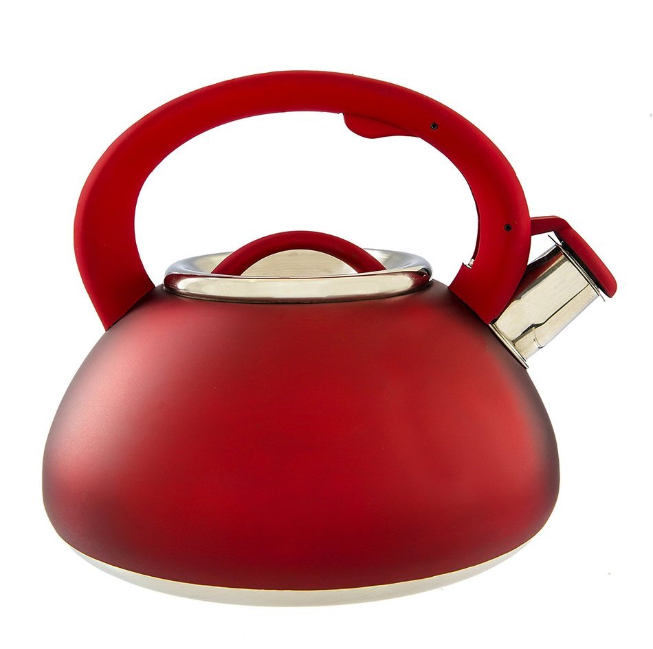 Primula Avalon Whistling Kettle - Whistling Spout, Locking Spout Cover, and Stay-Cool Handle - Stainless Steel... N17