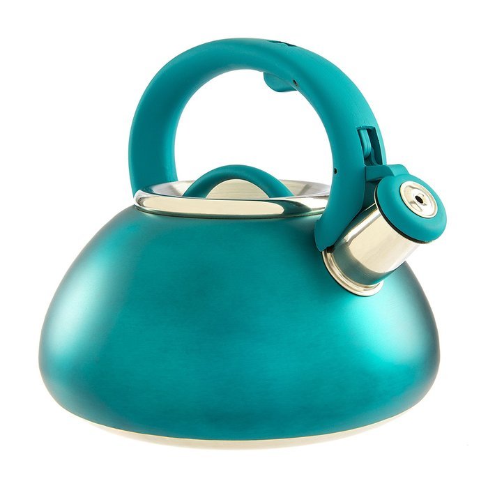 Primula Avalon Whistling Kettle - Whistling Spout, Locking Spout Cover, and Stay-Cool Handle - Stainless Steel... N18