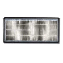 ** HEPAClean Replacement Filter, 2/Pack **