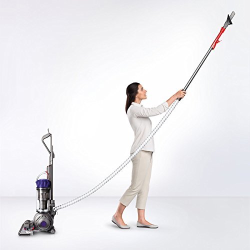 Dyson 216041-01 Ball Animal Bagless Upright Vacuum N5