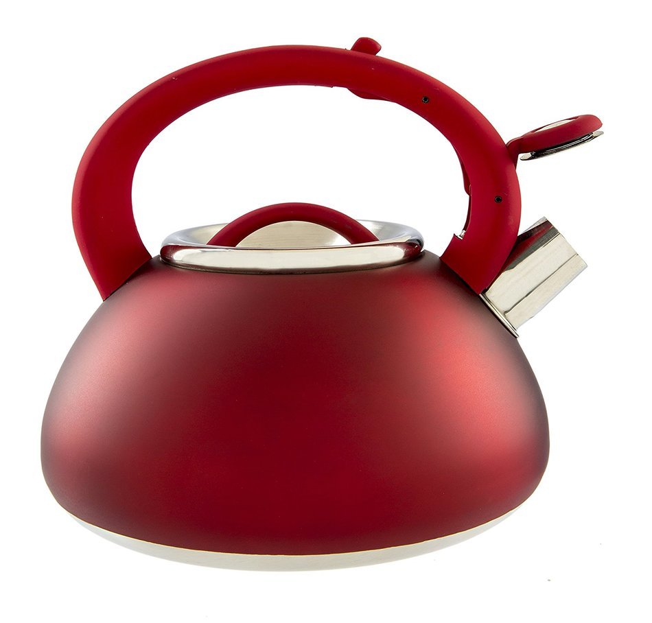 Primula Avalon Whistling Kettle - Whistling Spout, Locking Spout Cover, and Stay-Cool Handle - Stainless Steel... N20