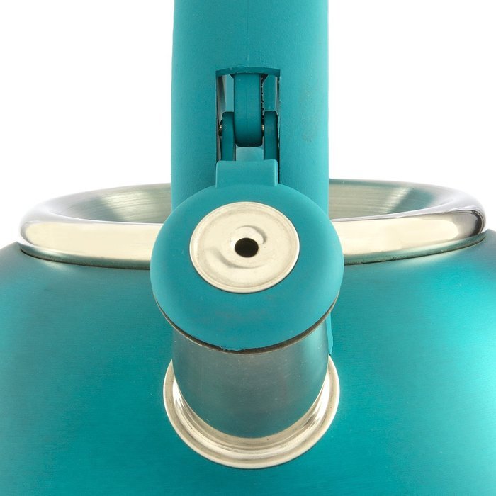 Primula Avalon Whistling Kettle - Whistling Spout, Locking Spout Cover, and Stay-Cool Handle - Stainless Steel... N21