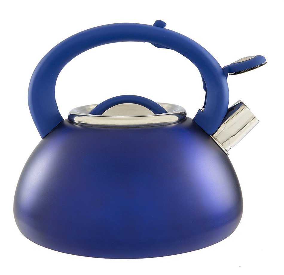 Primula Avalon Whistling Kettle - Whistling Spout, Locking Spout Cover, and Stay-Cool Handle - Stainless Steel... N24