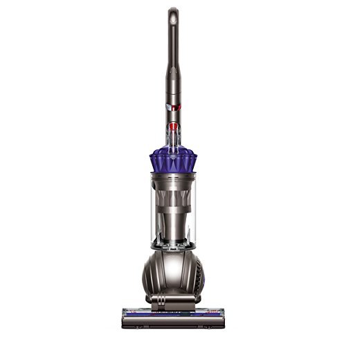Dyson 216041-01 Ball Animal Bagless Upright Vacuum N6