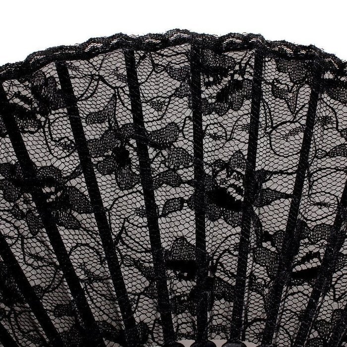 Lady's Girl's Lace Handheld Folding Hand Fan Black N2