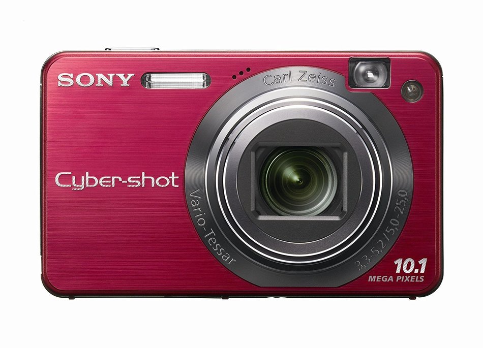 Sony Cybershot DSCW170/B 10.1MP Digital Camera with 5x Optical Zoom with Super Steady Shot (Black)