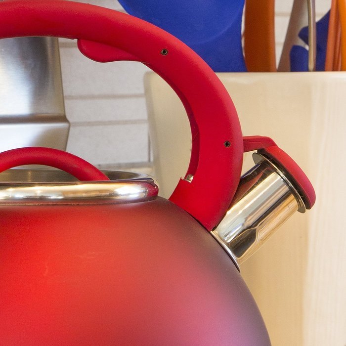 Primula Avalon Whistling Kettle - Whistling Spout, Locking Spout Cover, and Stay-Cool Handle - Stainless Steel... N27