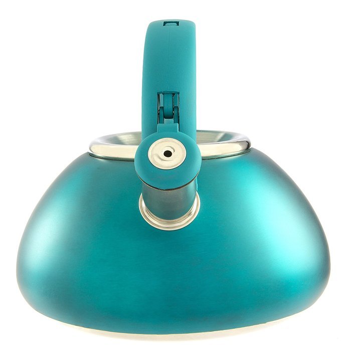 Primula Avalon Whistling Kettle - Whistling Spout, Locking Spout Cover, and Stay-Cool Handle - Stainless Steel... N28
