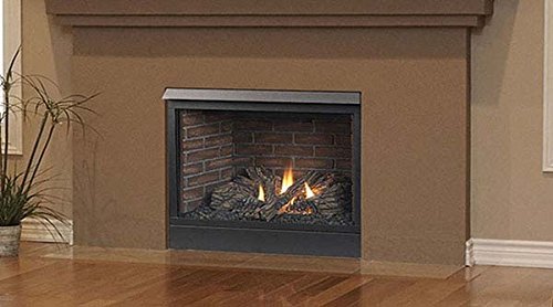 Majestic Patriot 36CFDVNVSL 36" Rear/Top Convertible Direct Vent Natural Gas Fireplace with Clean Face Design...