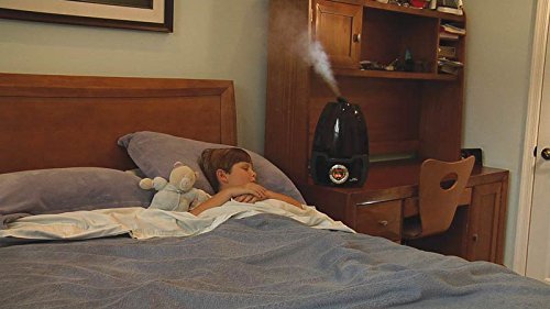 Cool Mist Digital Humidifier For Large Rooms &ndash; MH-602 Leopard N2