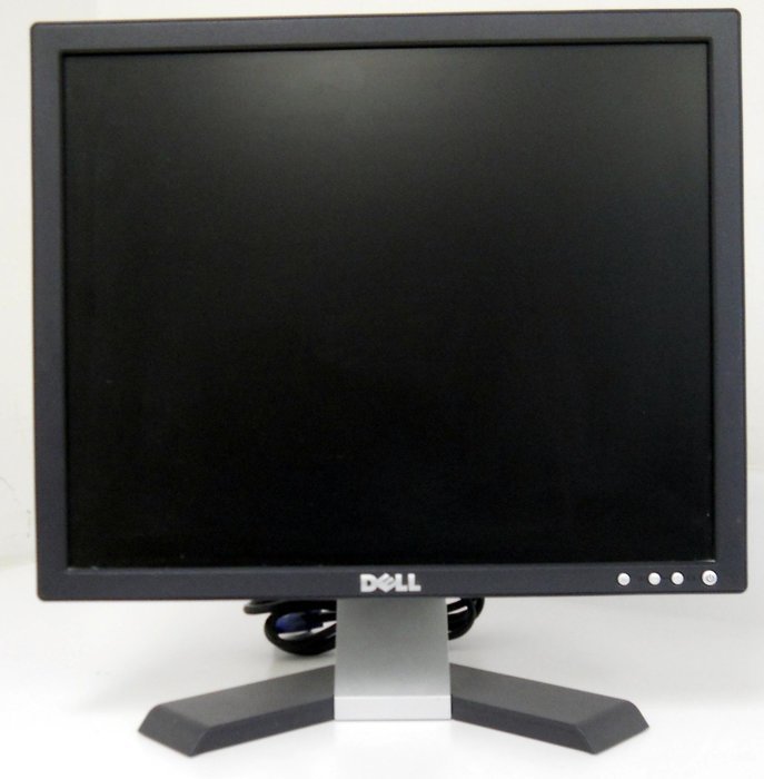 Dell E176FPf 17" LCD Monitor N2