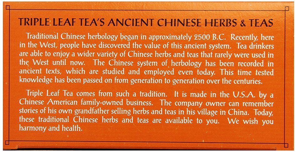 Triple Leaf Tea, Ginger, 20 Tea Bags (Pack of 6) N4