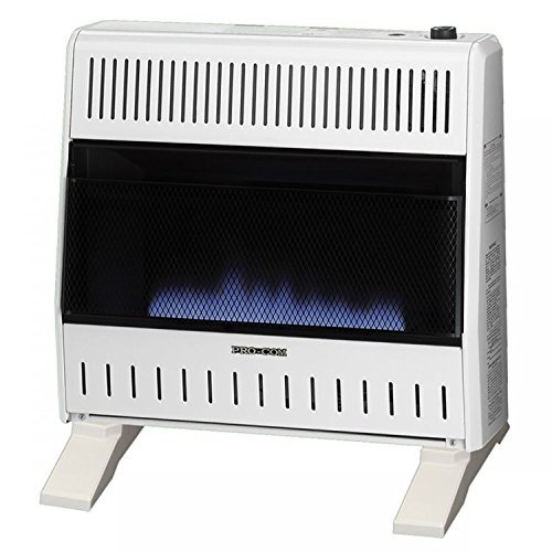 ProCom Dual Fuel Vent-Free Blue Flame Heater - 30,000 BTU, Model# MNSD300TBA-BB