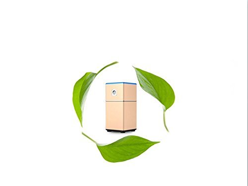 Mini O3 Air Purifier Sterilization Deodorizers O3 Freshener for Refrigerator, Shoe Cabinet, Pet Room, Storage...