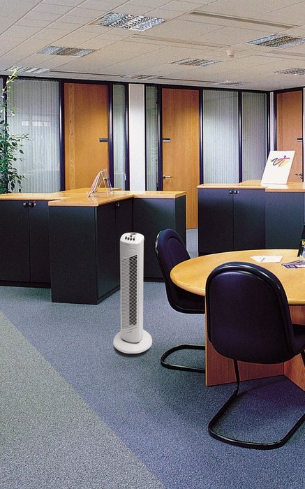 Royal Sovereign Home Products TFN-508 Tower Fan, 30-Inch N2