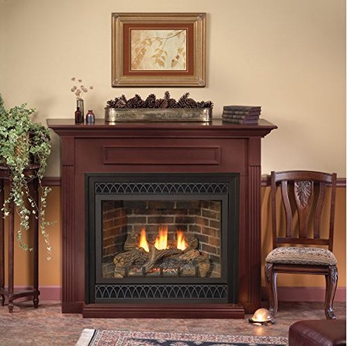 Deluxe 42 Tahoe DV IP Fireplace with Rectangle Doors, LP