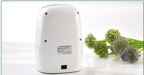 New Portable Mini Dehumidifier Electric Quiet Air Dryer 110V 220V Compatible N3