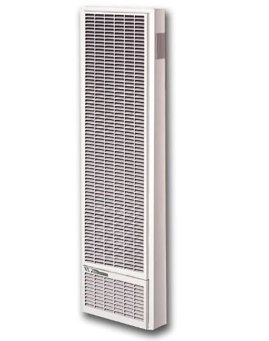Williams 487412 Top Vent Wall Furnace 25,000 BTU-Hr Natural Gas Gravity Vent