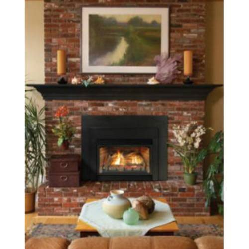 Direct Vent Fireplace Insert DV33IN73LP - Liquid Propane