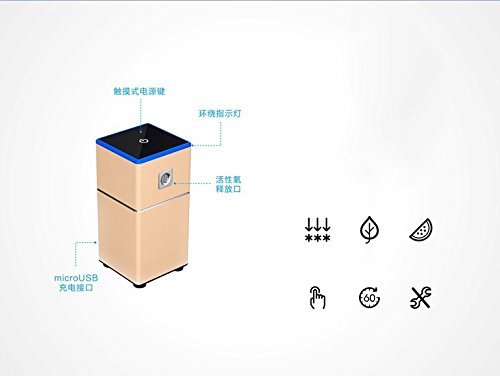 Mini O3 Air Purifier Sterilization Deodorizers O3 Freshener for Refrigerator, Shoe Cabinet, Pet Room, Storage... N3