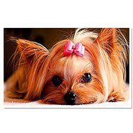 EverTrust(TM) Diy Animal Diamond Embroidered Three-dimensional Modern Resin Paintings Handmade Home Decoration...