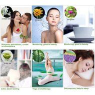 USB Mini Portable Humidifier Air Purifier Aroma Diffuser N5