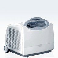 Whynter 13,000 BTU Portable Air Conditioner, Frost White (ARC-13W)