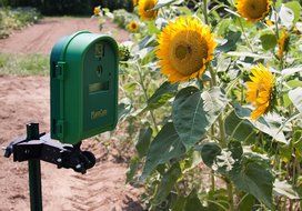Wingscapes WSCA04 Timelapse Outdoor PlantCam (Discontinued by Manufacturer)