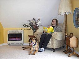 Mr. Heater, 30,000 BTU Vent Free Blue Flame Propane Heater, MHVFB30LPT + Fan N3