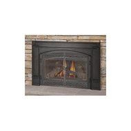GDI-30N Napoleon Direct Vent Gas Fireplace Insert
