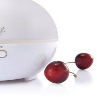 Essential Oil Diffuser,Oak Leaf Ultrasonic Aromatherapy Humidifier with Diffuser,Capacity of 300ml,Cool Mist Aroma... N8