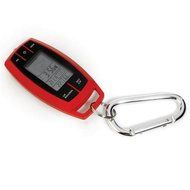 Weather Station Keychain