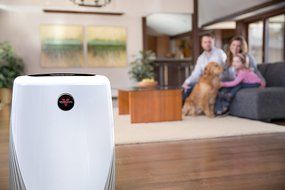 Vornado PCO200 Silverscreen Enhanced True HEPA Air Purifier N5