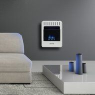 Avenger Dual Fuel Vent Free Blue Flame Wall Heater - 10,000 BTU, Model# FDT10BF N3