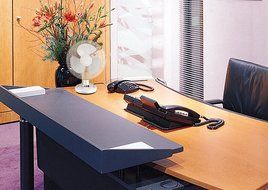 Royal Sovereign Home Products DFN-30B Desk Fan, 12-Inch N2