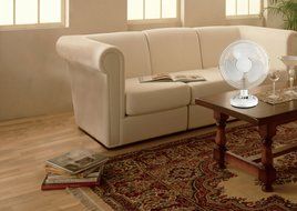 Royal Sovereign Home Products DFN-30B Desk Fan, 12-Inch N3