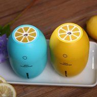 Ecosin Portable USB Humidifier Air Purifier Steam Diffuser Mist Office Room Accelerate the metabolism of cells... N5