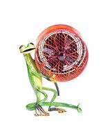 Deco Breeze Decorative Figurine Table Fan, Gecko, 9-1/2-Inch by 7-1/2-Inch