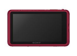 Sony Cyber-shot DSC-TX55 16.2 MP Slim Digital Camera with 5x Optical Zoom and 3.3-Inch OLED touch screen (Silver) N3