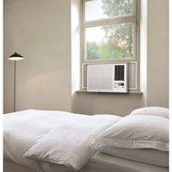 LG 7,500 BTU 115V Window-Mounted AIR Conditioner with 3,850 BTU Supplemental Heat Function N3
