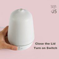 NAMEO 100ML Capacity Cool Mist Ultrasonic Humidifier, Aromatherapy Essential Oil Diffuser with Anti-dry Protection N9