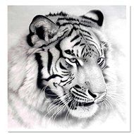 EverTrust(TM) Basket Rushed New Arrival 5d Diamond Embroidery Animal Tiger Handmade Full Square Set For Stitch...