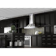 900 CFM Wall Mounted Range Hood Size: 16.4" H x 42" W x 23.6" D N2