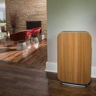 Alen BreatheSmart FLEX Customizable Air Purifier with HEPA-Silver Filter to Remove Allergies, Mold &amp; Bacteria... N22