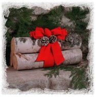 Birch Yule Logs