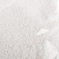 Star brite No Damp Dehumidifier 12 oz Bucket N4