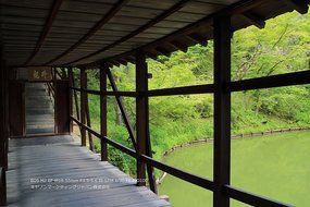 Canon mirror-less SLR camera EOS M2 double zoom kit (Beiburu) EF-M18-55mm F3.5-5.6 IS STM EF-M55-200mm F4.5-6.3...